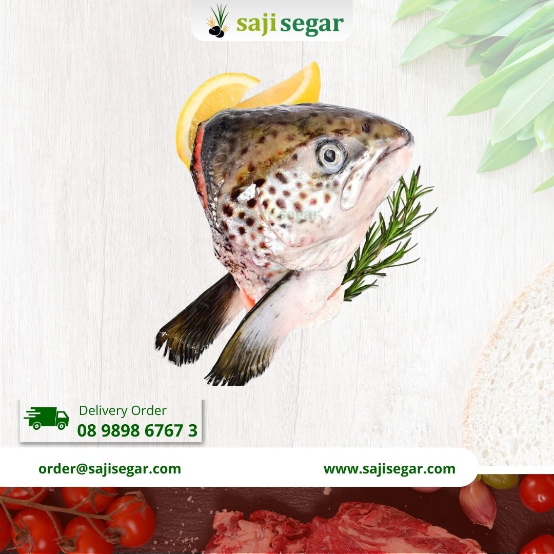 Kepala Salmon UTUHAN 1kg / Kepala Ikan Salmon MURAH